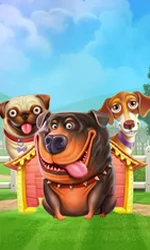 The Dog House