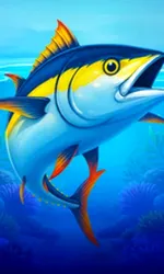 Big Boat Big Catch